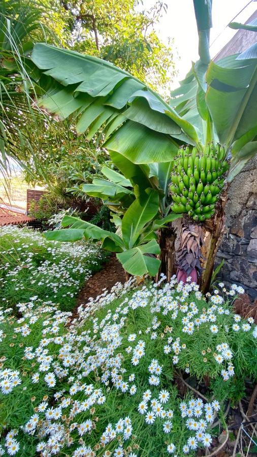 Casa Ideal Para Familias Com Vista Mar Desafogada Funchal (Madeira) Exterior foto