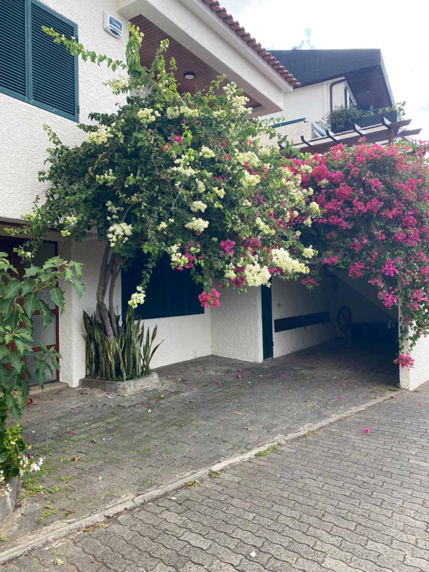 Casa Ideal Para Familias Com Vista Mar Desafogada Funchal (Madeira) Exterior foto